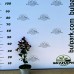 Фотиния "Литъл Ред Робин" -   Photinia Little Red Robin 0.30 м.- 0.40 м.